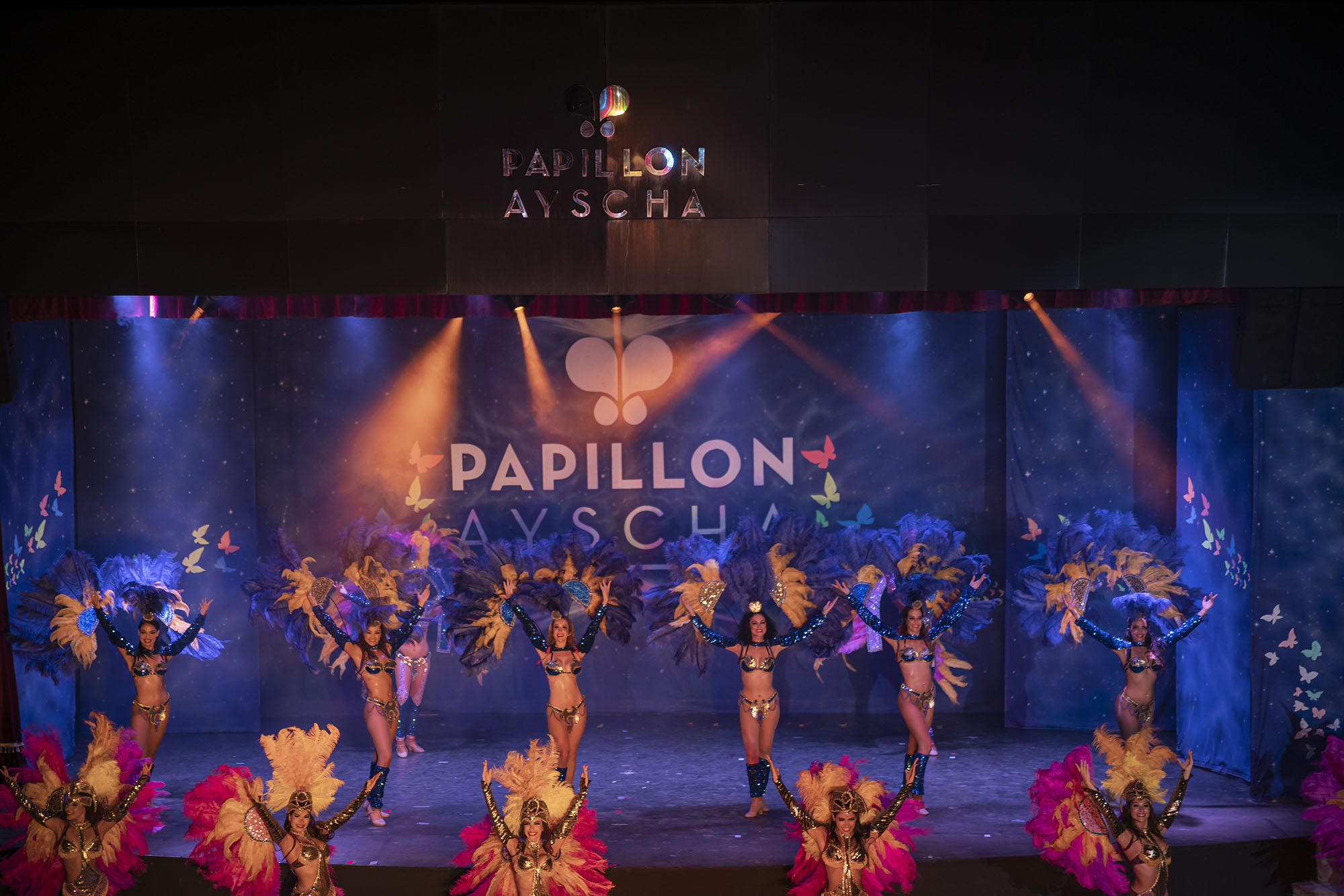 Papillon-Ayscha-Gece-Showu-03